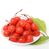 /product-detail/canned-red-cherry-maraschino-red-cherry-with-stems-and-pitted-in-syrup-62115759140.html