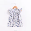 Summer Toddler Baby Girl Cotton Linen Dresses Floral Printed Ruffle Sleeveless Minin Dress