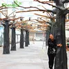 Best supplier decorative fiberglass natural banyan artificial tree trunk