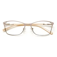 Metal Women Cat Eye Optical Glasses Frame Clear Beautiful Fashion Transparent Grade Armacao De Eyeglasses For Women#TWM7554
Metal Women Cat Eye Optical Glasses Frame Clear Beautiful Fashion Transparent Grade Armacao De Eyeglasses For Women#TWM7554