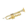 High Grade Stable Quality Handcraft Trumpet For Sale