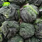 organic iqf broken grounded frozen spinach