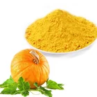 Pumpkin Seed Extract Powder to Prevent the Prostate Disease