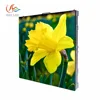 RGX oled manufacturer p12 outdoor stand screen outdoor monitor led display/p10 outdoor rental led display