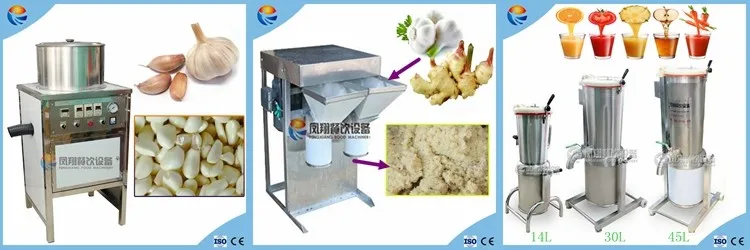 garlic processing machine.jpg