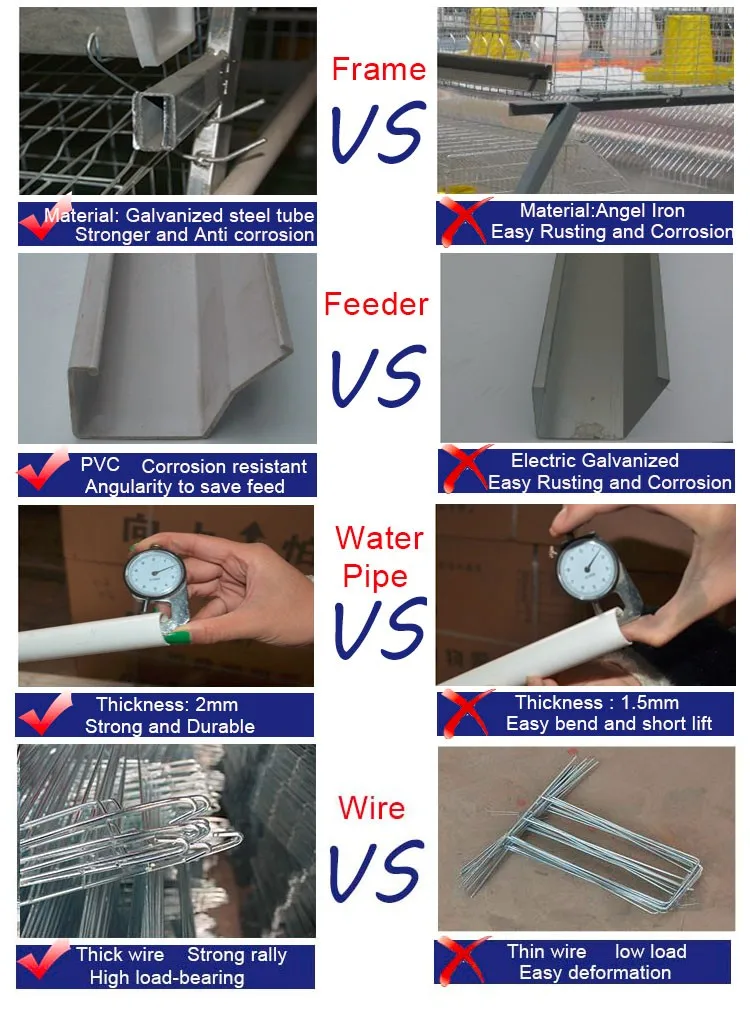 China Factory Manufacture Hot Sale chicken cage for sale in kerala