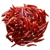 Chili pepper dried red chili hot spicy wholesale new fresh