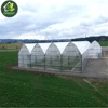 Grow Vegetables Plastic Film Green House