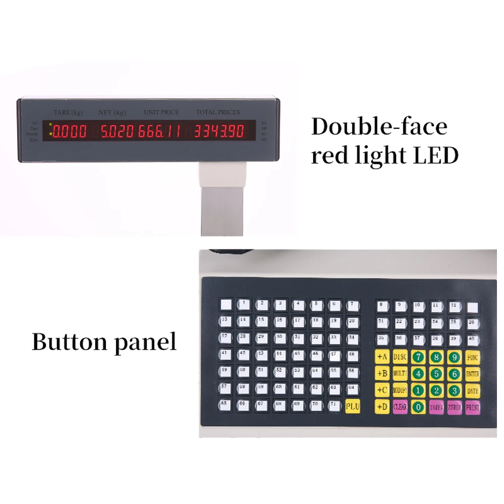 scale 5.jpg