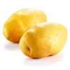 bulk supply morocco potatoes market price