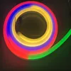 Hot Sale Neon lights dmx 24v 12v 5v digital RGB dream color led neon flex