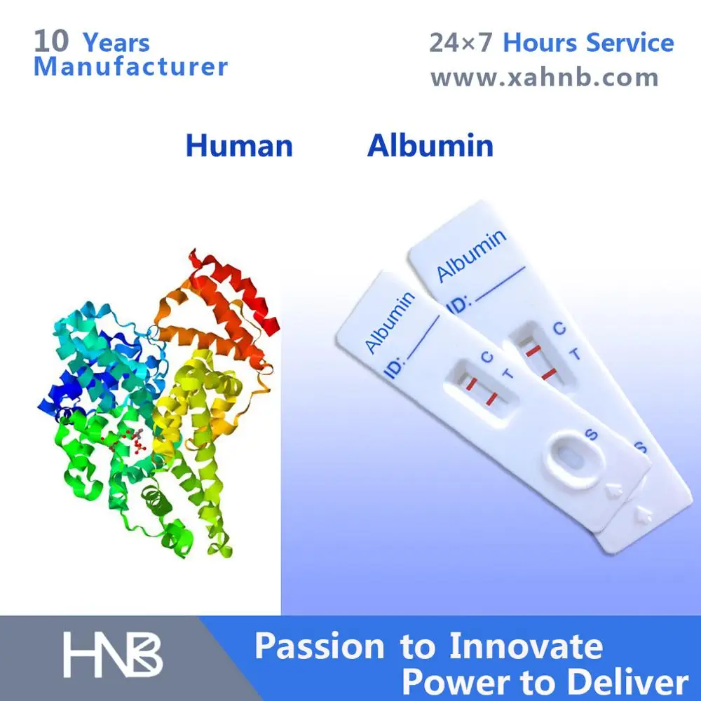 high quality human serum albumin medical diagnostic test kit