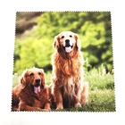 15 X 15 cm Personalized Microfiber Lens Cleaning Cloth