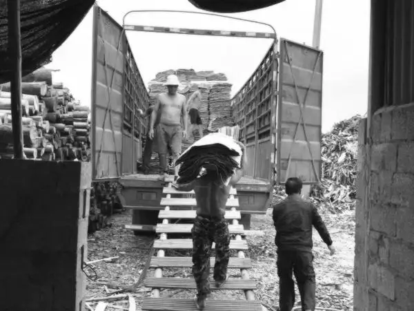 film faced plywood|shuttering plywood|forwork plywood|concrete plywood