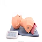 Advanced Adult Intubation Simulator Medical Training Model for Teaching