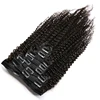 Top grade 100% virgin brazilian human hair kinky curly clip in hair extensions