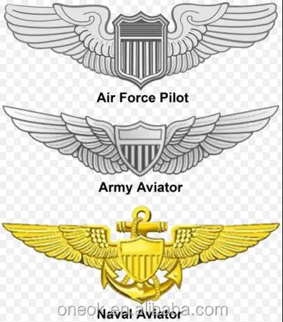 La force aérienne insignes de pilote/pilote ailes/pilote de badge.