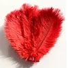 High quality red ostrich feather plume bird feathers sale For Carnival Costumes