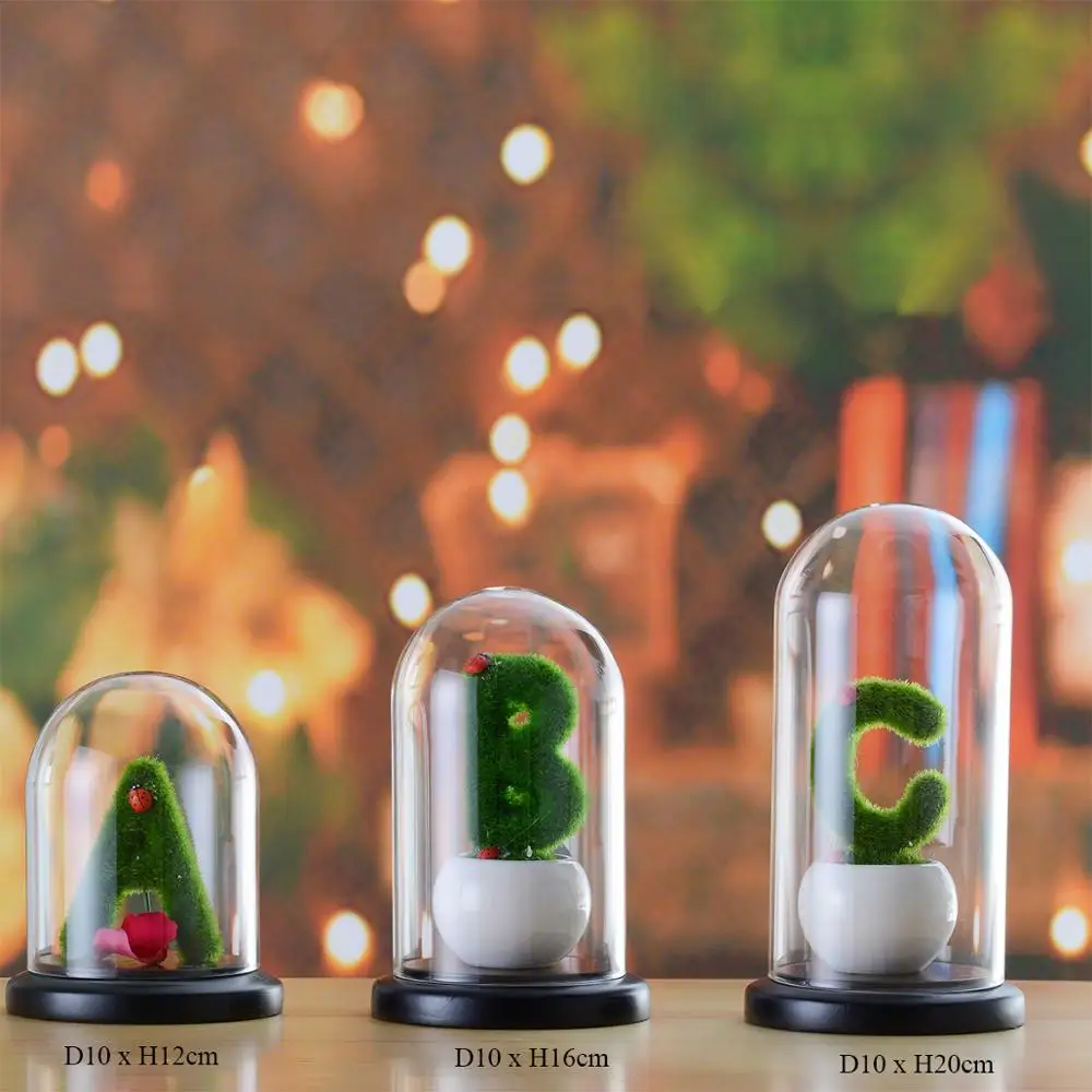 small-glass-dome--bell-jar.jpg