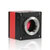 high sensitivity Sony CCD ICX825 camera for fluorescence microscopy
