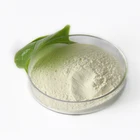 food ingredients supplement raw material probiotics humans Lactobacillus reuteri