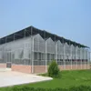 Agricultural 5mm greenhouse tempered glass for tomato and growing