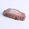natural petrified wood high quality cheap price wood fossil stone for sale