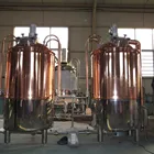 3hl microbrewery industrial beer micro brewing equipment productions