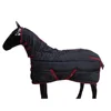 /product-detail/winter-combo-stable-horse-rugs-60833558900.html