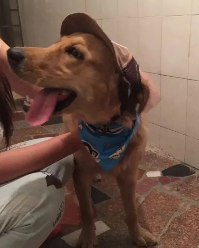 4402461221_1798973395