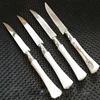 /product-detail/cleaver-kitchen-knife-set-damascus-steel-knife-blanks-plastic-handle-fruit-knife-60207965681.html