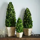 Tree Preserved Boxwood Topiary Christmas Boxwood Tree Ball Manufacturer And First Makes Preserved Plants