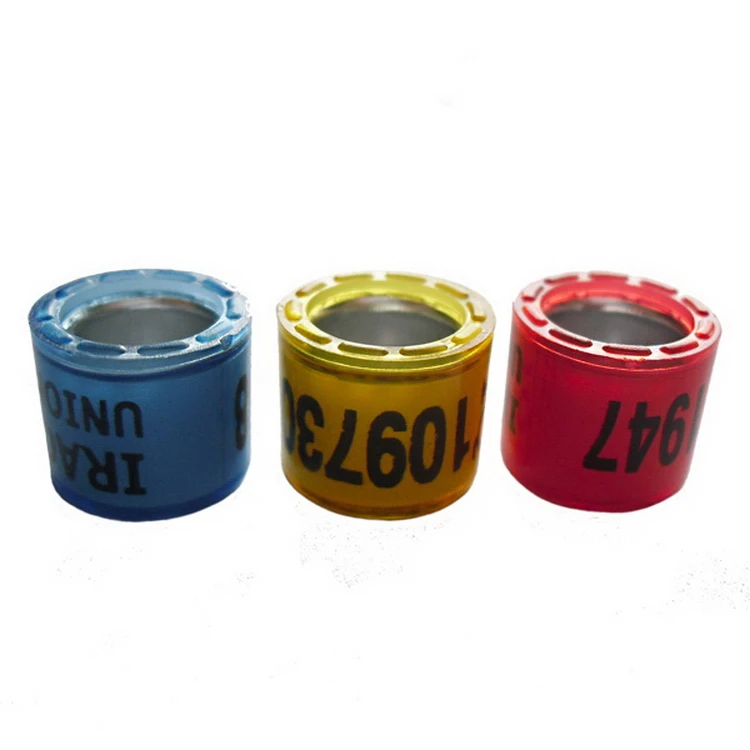 The Most Popular hot sale promotion cheap pigeon ring dutch ring, N/a 
The Most Popular hot sale promotion cheap pigeon ring dutch ring, N/a