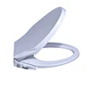 /product-detail/o-shape-cold-water-non-electric-bidet-toilet-seat-with-two-nozzles-60803756331.html