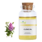 Wholesale 100% Pure Clove Oil with MSDS