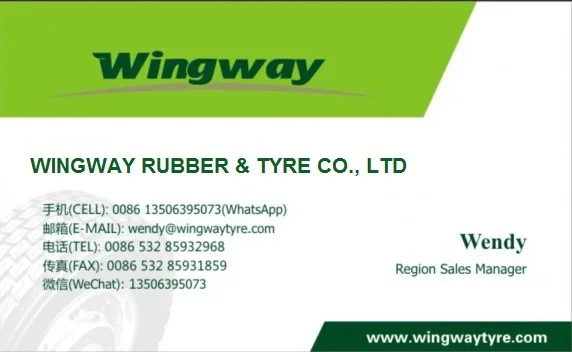 Wendy wingway tire 3