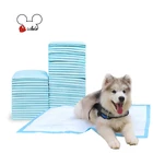 different types brand name sleepy dog pet pad with competitive price