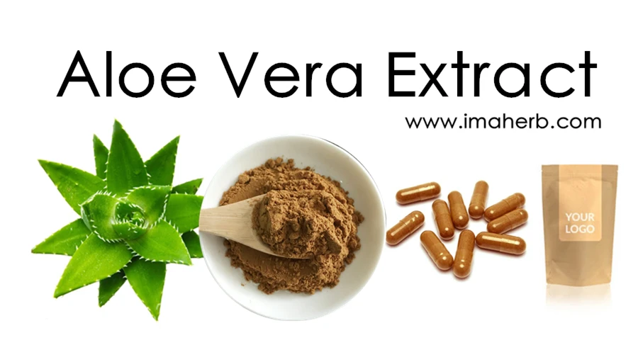 aloe vera extract powderd sample free indonesia aloe vera