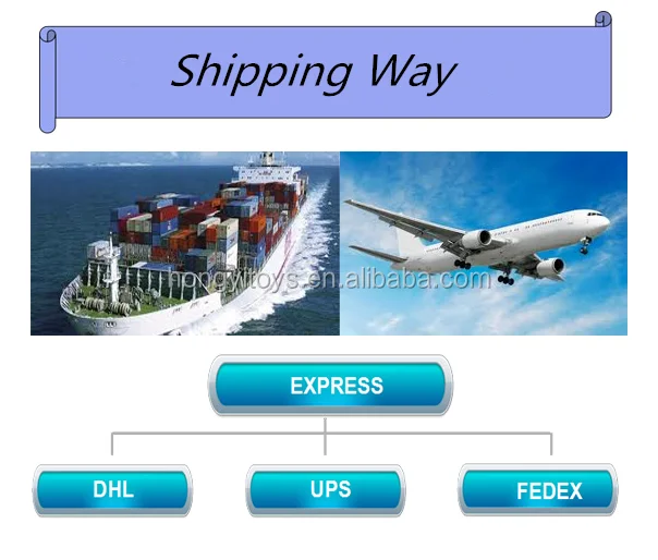 company information (5).png