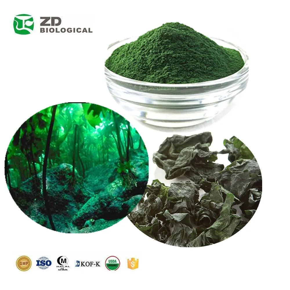 superfood dark green powder natural chlorella wholesale
