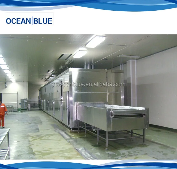 Blast Freezer, IQF, 380V, 2000kg - detail 2