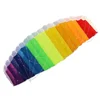 Hot Selling Dual Line Rainbow Parafoil Kite Software Stunt Kite for Outdoor with Flying Tool