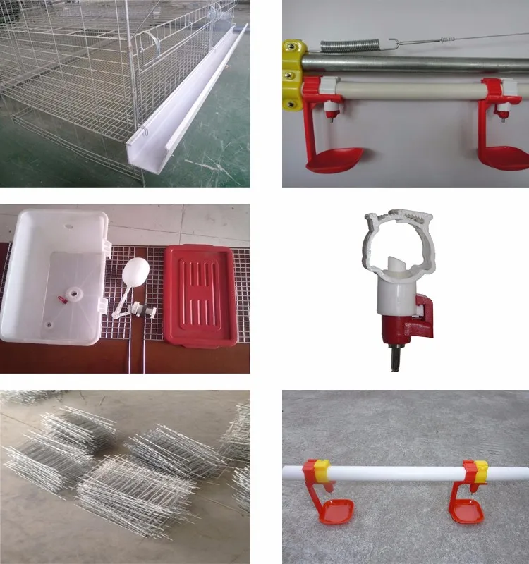 chicken cage 4.jpg