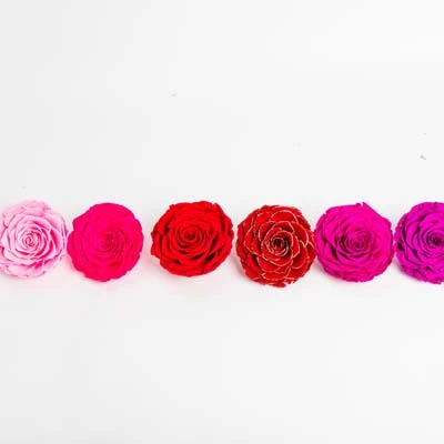 Высокое качество 4-5 см Роза голова в коробке навсегда сохранились Роза головы из Юньнань