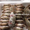 good quality blue swimming crab meat frozen crab