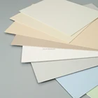 Luxury Antibacterial Vinyl Panels Wall Protector