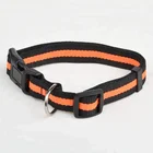 pet collars leads harnesses for dogs and cats