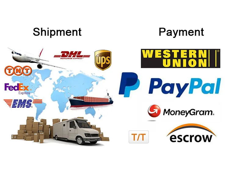 payment & shipment