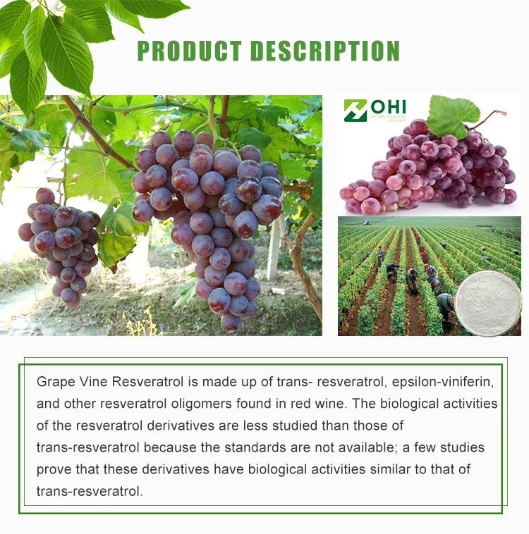 brownish yellow powder 5% trans-resveratrol grape