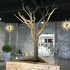 Artificial Dry Tree Branches for Decoration Without Leaves